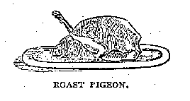 Illustration: ROAST PIGEON.