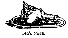 Illustration: PIG'S FACE.