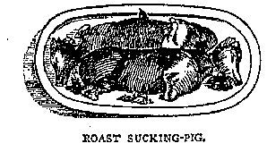 Illustration: SUCKING-PIG.